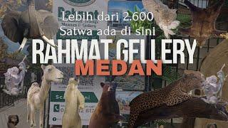 Liburan ke Rahmat International Wildlife Museum and Gallery Medan || Museum Hewan Terbesar Di ASEAN