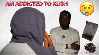 The prevalence of Kush in The Gambia