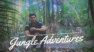 Jungle Adventure Cinematic | Video Content | GeeksPulse