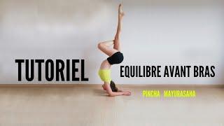 TUTORIEL EQUILIBRE SUR AVANT BRAS/ PINCHA Mayurasana