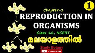 REPRODUCTION IN ORGANISM PLUS TWO BIOLOGY CHAPTER-1 MALAYALATHIL STUDY BOTANY PART-1 SCERT, NCERT SB