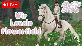 LIVE Wir Leveln Flowerfield | SSO | Server 3 Chocolate Mountain