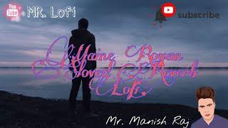 Maine Royan Lofi Song | Bollywood Lofi | MR. Lofi | Tanveer Even | Lofi Remix