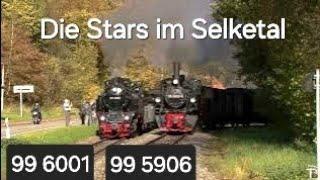 Two stars in the Selketal - steam locomotive 99 5901 & 99 6001