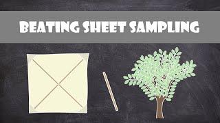 Beating Sheet Sampling | Field Ecology