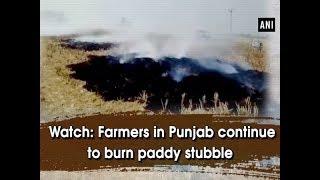 Watch: Farmers in Punjab continue to burn paddy stubble  - #Punjab News