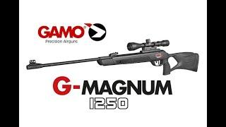 Проба пера. Gamo G-Magnum 1250. Отстрел, из коробки, после покупки. ч.2