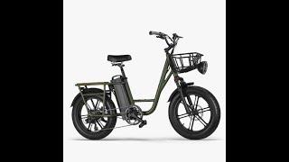 Fiido T1 Utility Cargo E-Bike