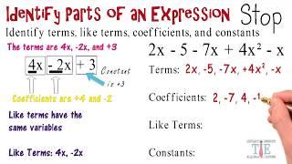 Identifying Parts of an Expression: Algebra Animations