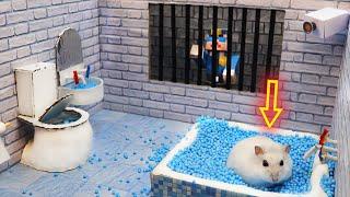 Hamster Escapes the Awesome 5-Star Luxury Prison Maze with Bathtub for Pets in real life