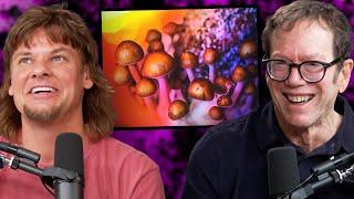 Robert Greene Shares His Experiences with Psychedelics