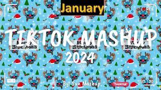 tiktok mashup 2024 January (clean)