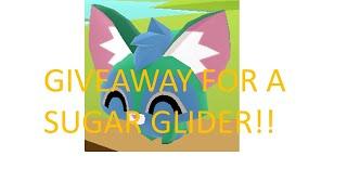 OPEN AJ SUGAR GLIDER GIVEAWAY!!!