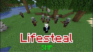 How I got Hunted on the LifeSteal SMP!