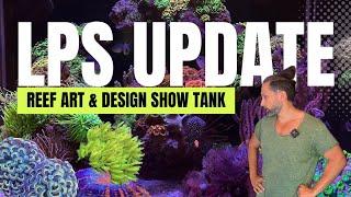 Es ist viel passiert: Update des Reef Art & Design Show Tank