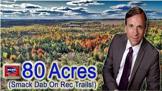 Big Cheap Maine Land | Maine Real Estate 80 Acres