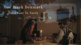 One week in Denmark - Vlog / In cabins near the beach