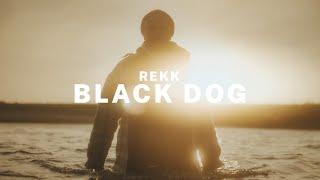 REKK • BLACK DOG (OFFICIAL MUSIC VIDEO)