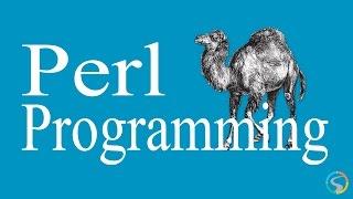 Perl Programming - Private variables in subroutines