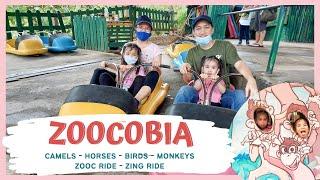 ZOOCOBIA | Clark, Pampanga | Felicity Gail