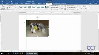 Updated: Freely Move Microsoft Word Images\Pictures