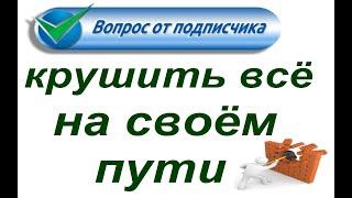 № 829 Русские идиомы : КРУШИТЬ ВСЁ НА СВОЁМ ПУТИ