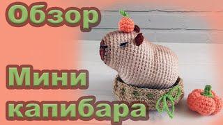 Капибара с апельсином. Вязаная капибара.