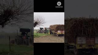 benaqab song Tochan king pulling full lodead trolley viral short video help three John Deere tractor