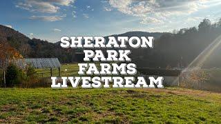 Live At Sheraton Park Farms - Diesel Shortage Discussion