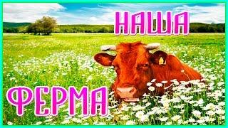 НАША ФЕРМА \\ НАШЕ ХОЗЯЙСТВО \\ как мы ухаживаем за животными?\\ коровы и телята \\ Русский Фермер