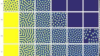 Turing patterns in a reaction-diffusion model