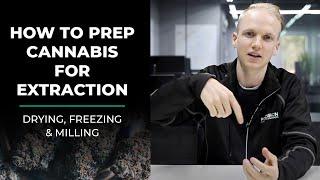 Extraction Explained: Drying, Freezing and Milling Cannabis for Extraction