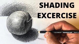 How Drawing apples Improves your Shading!