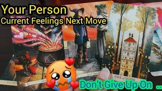 Your Person His/Her Current Feelings Next Move Timeless Hindi Tarot