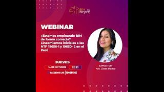 WEBINAR " Lineamientos iniciales hacía la Norma Técnica 19650-1 y 19650-2"