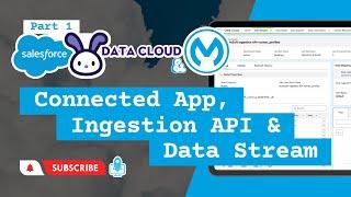 Data Cloud/MuleSoft Integration Part 1: Connected App, Ingestion API, & Data Stream (Salesforce)