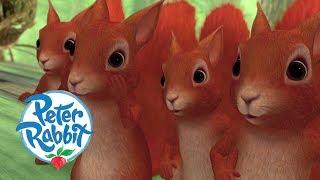 Peter Rabbit - Unlikely Allies | Cartoons for Kids