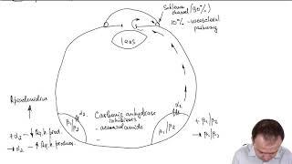 Eye Pharmacology: Regulation of Aqueous Humor Production (Part 20)