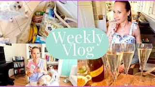 ️ Weekly VLOG I Kuchen & Prosecco  I neue Bücher I ️