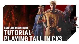 Playing Tall in Crusader Kings 3 | Tutorial/Guide for Beginners