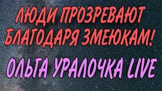 ЛЮДИ ПРОЗРЕВАЮТ БЛАГОДАРЯ ЗМЕЮКАМ. ОЛЬГА УРАЛОЧКА LIVE. ОБЗОР ВЛОГА.