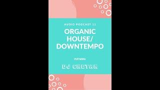 Audio Podcast .11 Organic House/Downtempo DJ Chetan