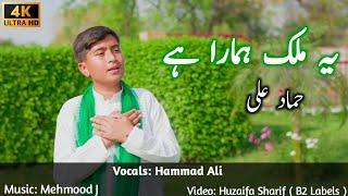 Ye Mulk Hamara Hai | 𝐍𝐞𝐰 𝟐𝟑𝐫𝐝 𝐌𝐚𝐫𝐜𝐡 𝐒𝐨𝐧𝐠𝐬 | Hammad Ali | 𝐏𝐚𝐤𝐢𝐬𝐭𝐚𝐧 𝐃𝐚𝐲