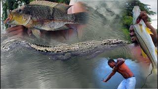 DANGEROUS CROCODILE HUNTING SLINGSHOT spearfishing snook sandwich