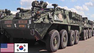 Армия США. Мощные боевые машины Stryker прибыли в Республику Корея.