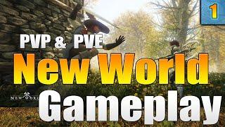 Amazon's New World MMO Gameplay! PVP Gameplay & PVE Gameplay in New World MMO!