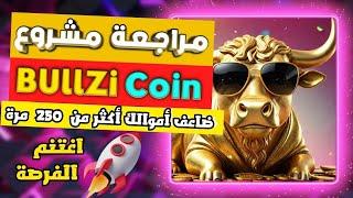 THE EASIEST 200X YOU CAN EARN FROM THIS PROJECT EASILY | BULLZI COIN PROJECT REVIEW