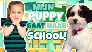 BUMPER GAAT NAAR SCHOOL!! 