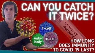 Can You Catch COVID-19 Twice? How Long Does Immunity Last?