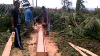 Cutting Coconut Lumber